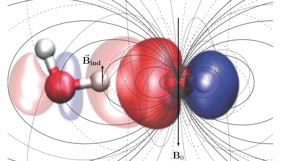Abbildung: Das mikroskopische magnetische Feld, das zwischen benachbarten Wassermolekülen induziert wird.