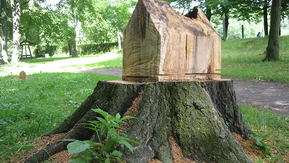Foto: Baumhaus VII, 2011