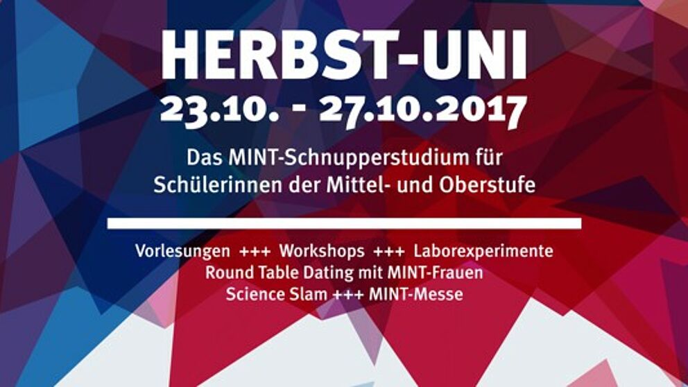 Abbildung: Plakat