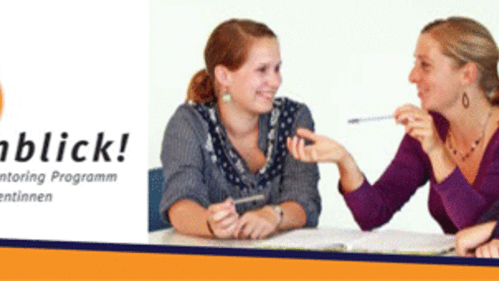 Abbildung: Lesezeichen/Banner "Einblick!"