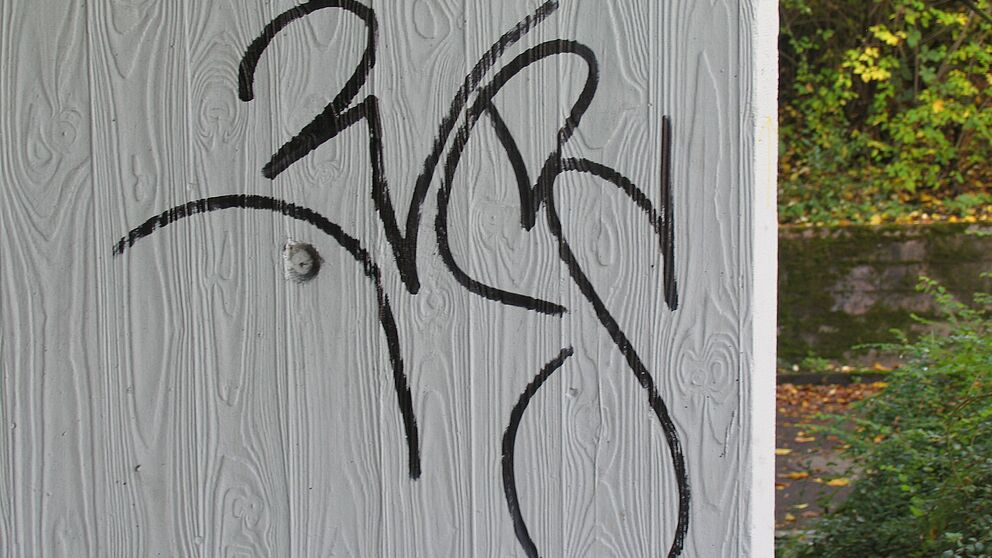 Abbildung (Universität Paderborn): Tags sind die linearen Signaturen der Sprüher. Sie werden mit der Sprühdose oder mit dem Farbstift angebracht. Sie können isoliert oder als Signatur zu einem größeren, bildhaften Graffiti (Writing/Style) auftreten.