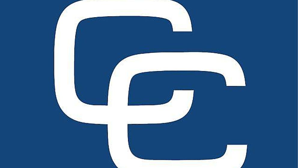Abbildung: Logo Campus Consult