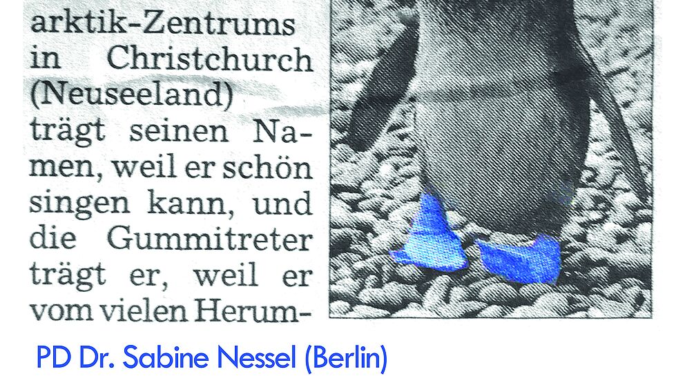 Abbildung: Plakat