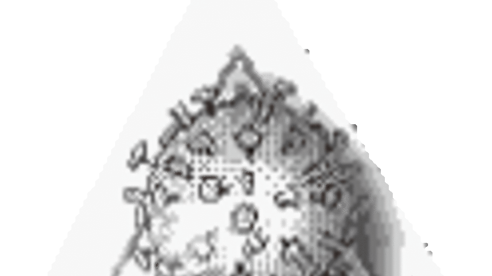 (Grafik Arbeitsgemeinschaft Influenza)